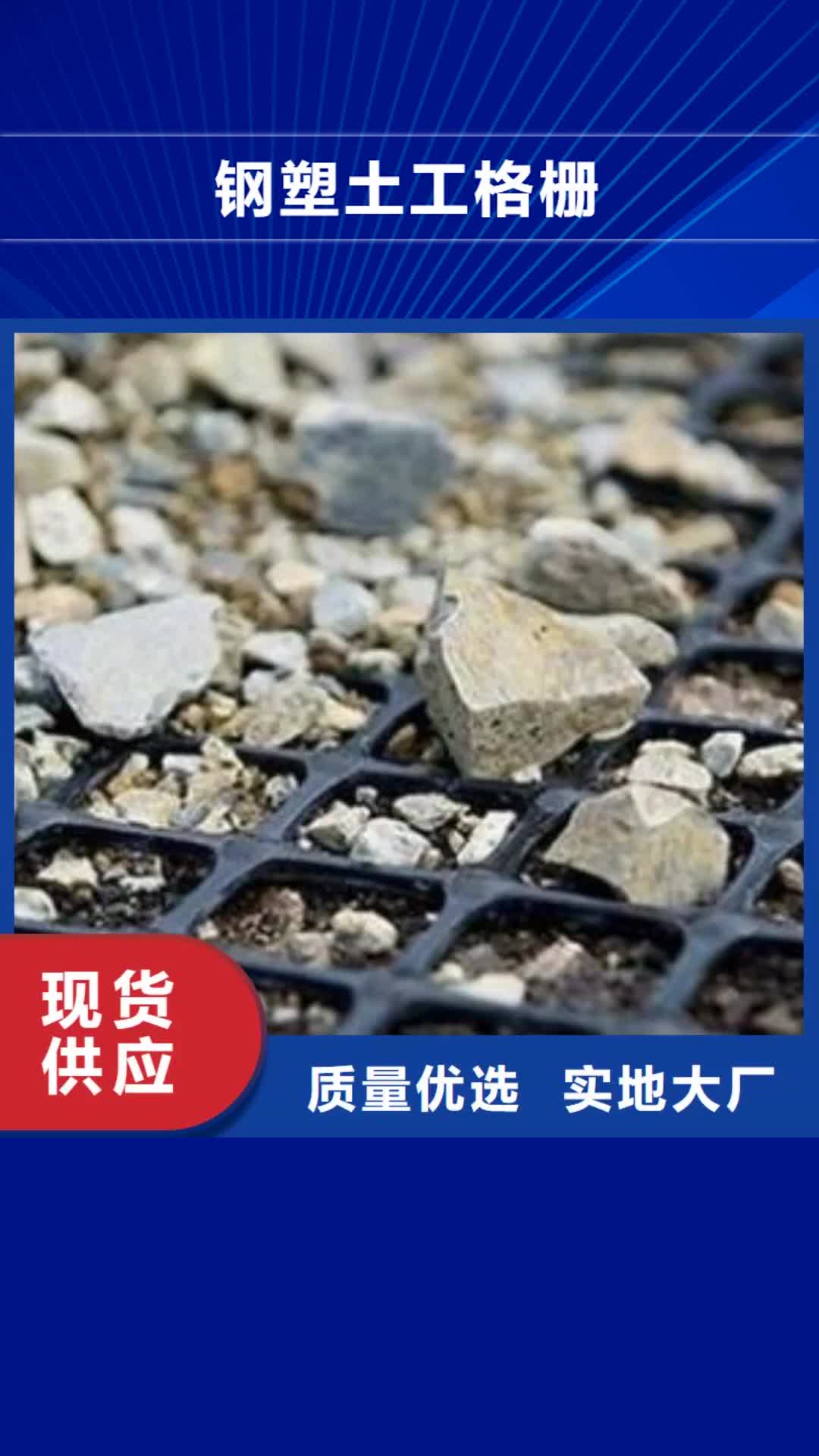 聊城【钢塑土工格栅】 三维水土保护毯通过国家检测