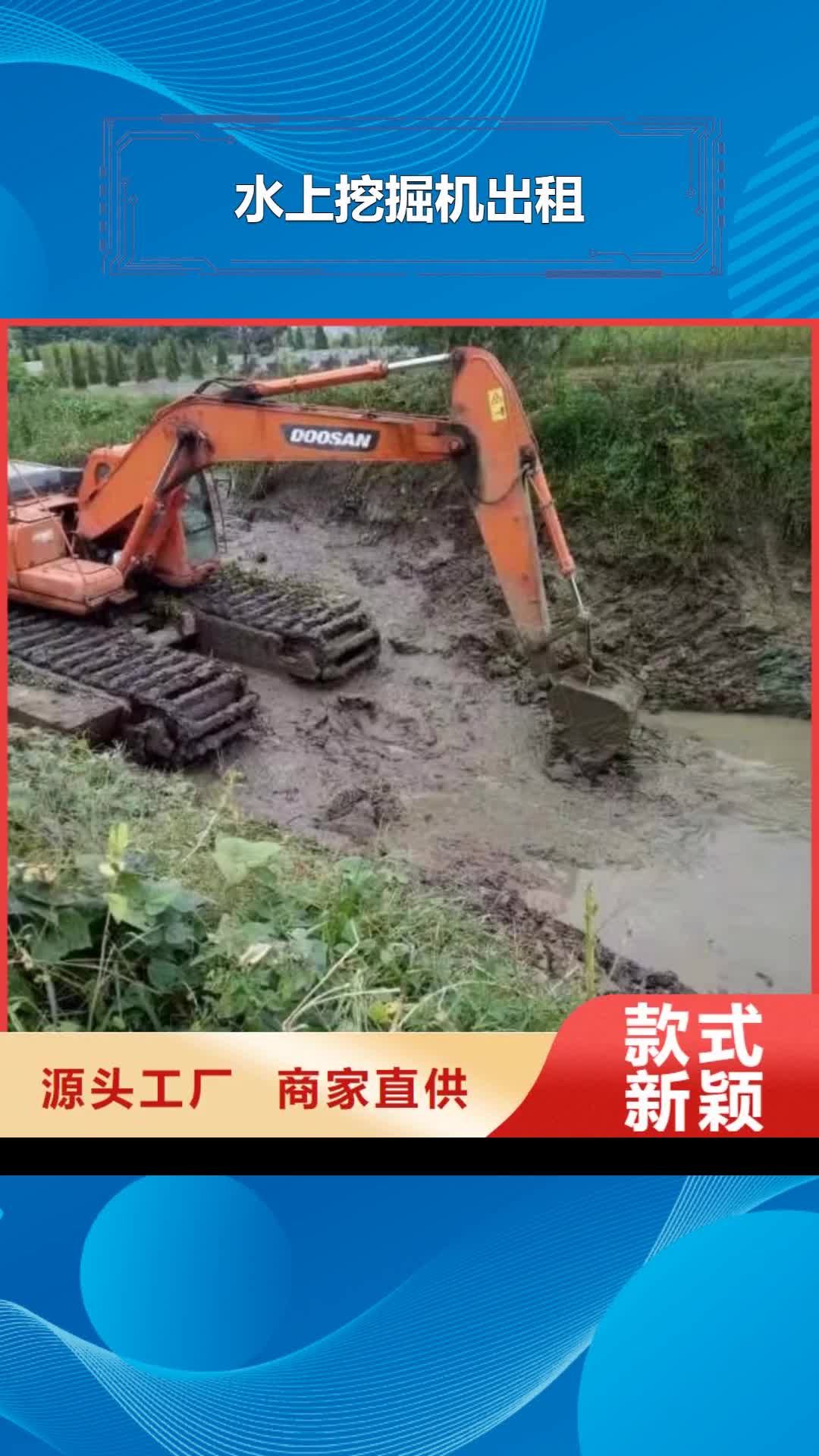 武汉 水上挖掘机出租 【水陆两用挖掘机租赁】厂家货源