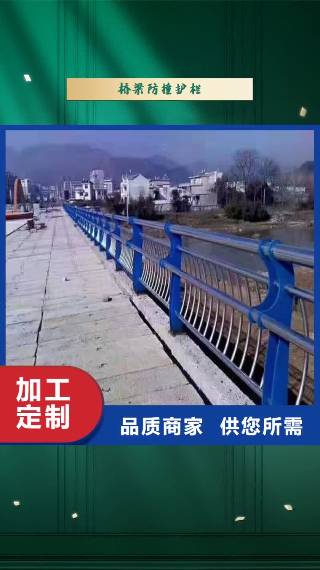 【商洛 桥梁防撞护栏_钢板立柱实力大厂家】
