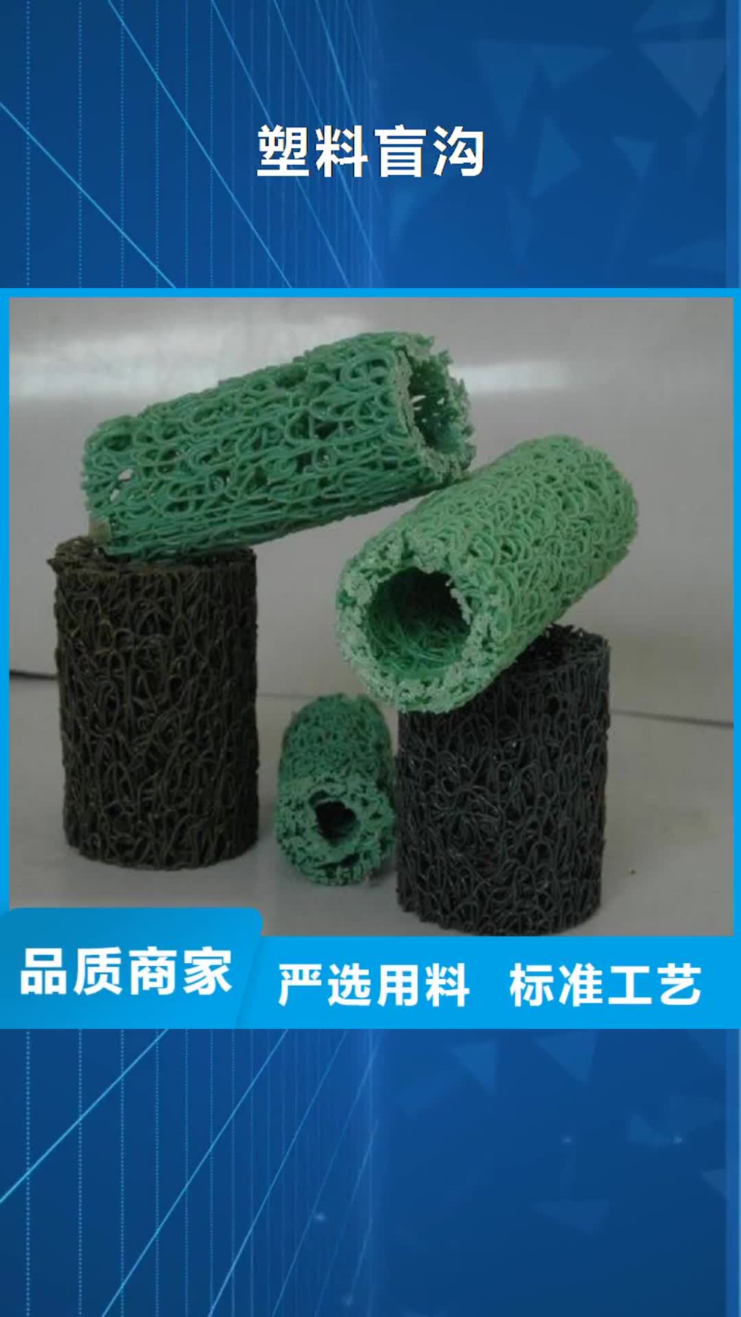 上海【塑料盲沟】 HDPE土工膜厂家直销售后完善